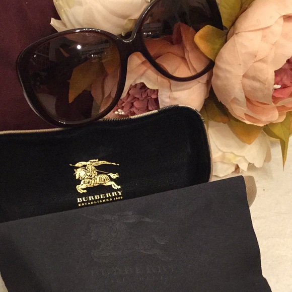 Authentic Burberry Oversize Sunglasses Case/ Cloth main image 3